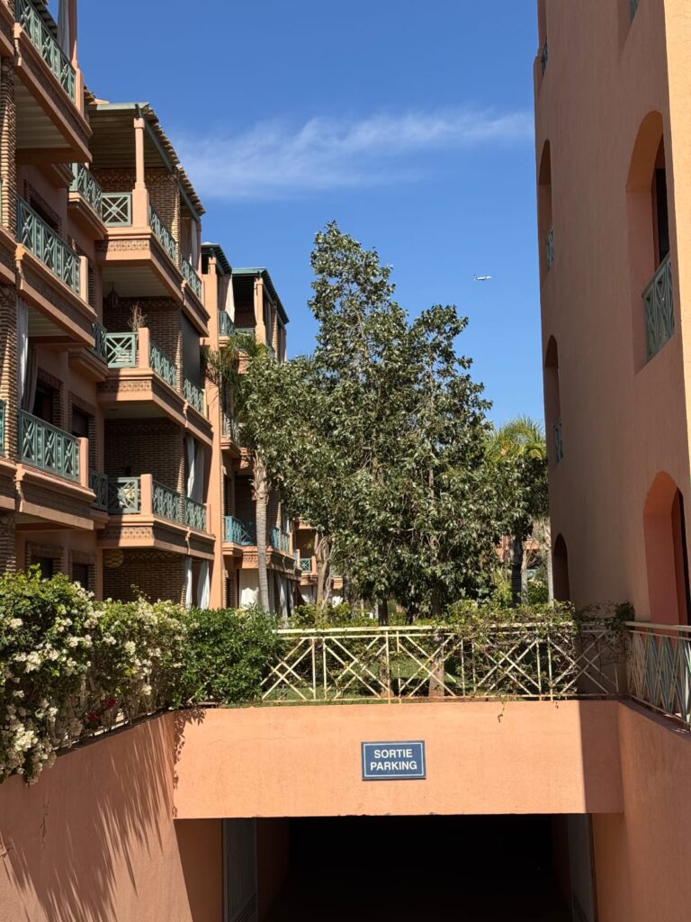 WhatsApp Image 2025-07-01 at 01.45.04 (1)