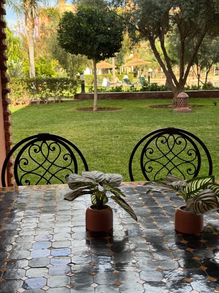 WhatsApp Image 2025-07-01 at 01.45.06 (1)