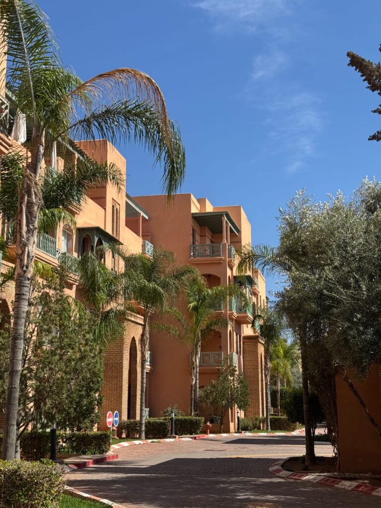 WhatsApp Image 2025-07-01 at 01.45.06